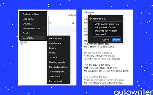 Autowriter AI - 谷歌插件