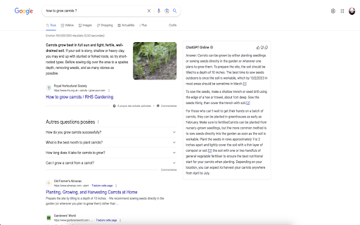 ChatGPT Online for Google - 谷歌插件