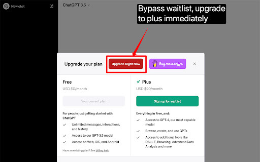 Chatgpt Plus Waitlist Skipper - 谷歌插件