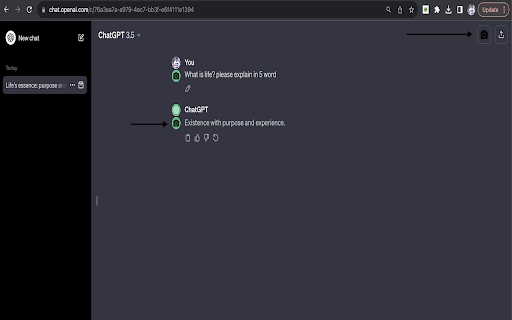 ChatGPT Snapshot - 谷歌插件