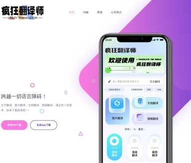 疯狂翻译师