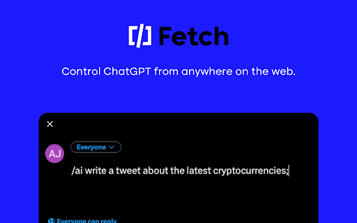 Fetch - 谷歌插件