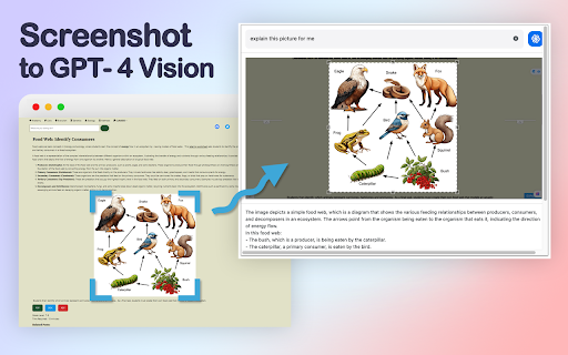GPT-4 Vision Screenshot - 谷歌插件