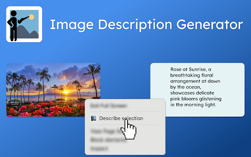 Image Describer - 谷歌插件