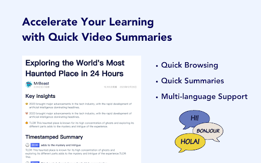 Video Insight Plugin - 谷歌插件