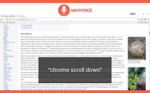 NaviVoice - 谷歌插件