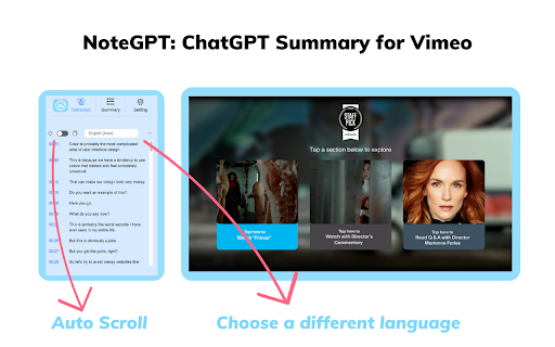 Vimeo Summary Generator - 谷歌插件