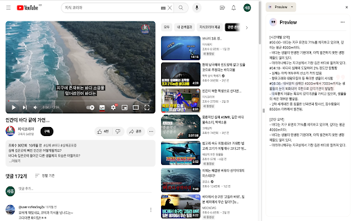 SummarizeTube - 谷歌插件