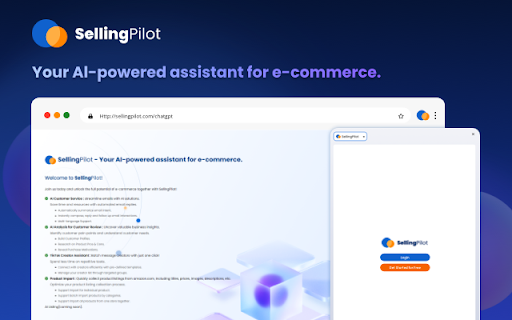 SellingPilot - 谷歌插件
