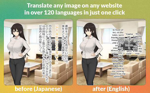 Torii Image Translator - 谷歌插件