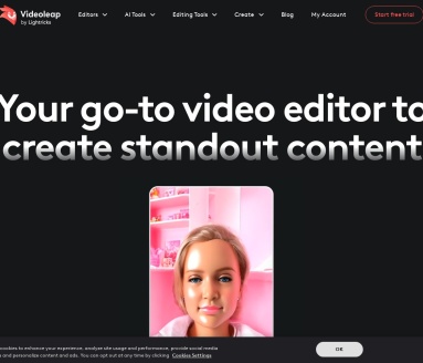 Videoleap翻译站点