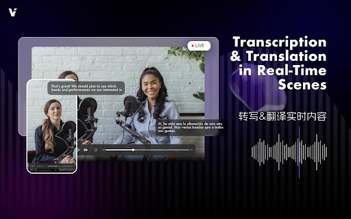 ViiTor Real-time Translation Plugin - 谷歌插件