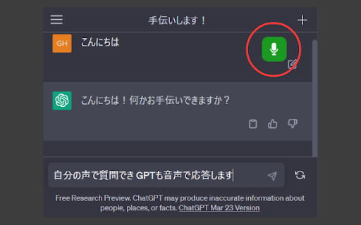 ChatGPT Voice Conversation - 谷歌插件