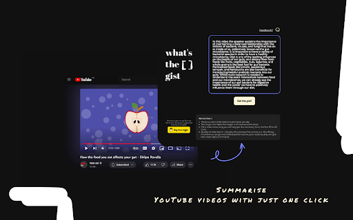 What's the gist - 谷歌插件