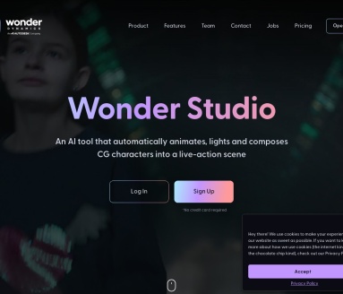 Wonder Studio高阶应用翻译站点
