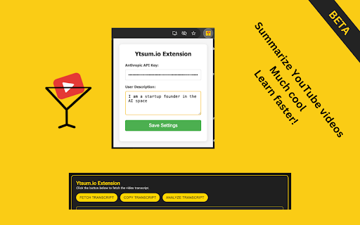 YT Summarizer - 谷歌插件