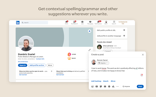 Grammarly - 谷歌插件
