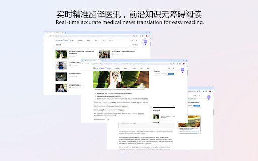 LanguageMaster - 谷歌插件