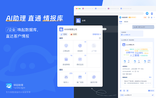 TopSales Agent - 谷歌插件